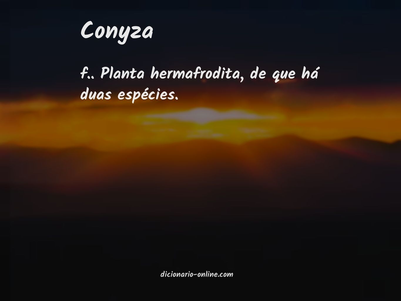 Significado de conyza