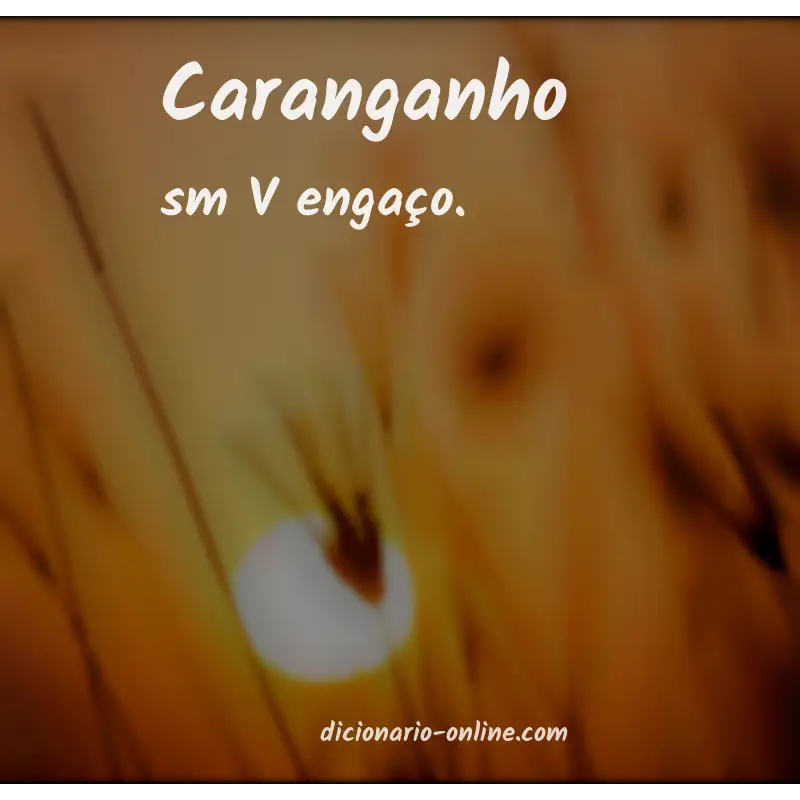 Significado de caranganho