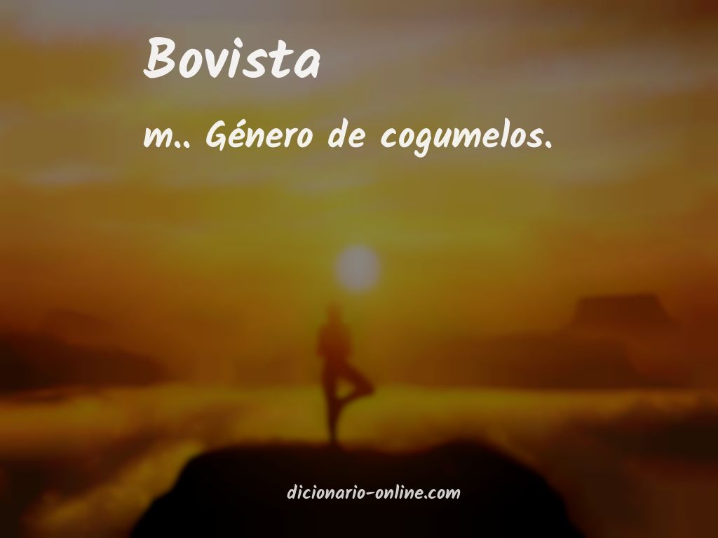 Significado de bovista