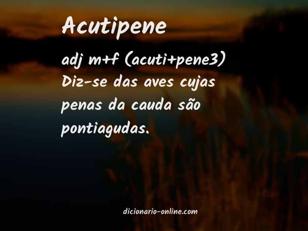 Significado de acutipene