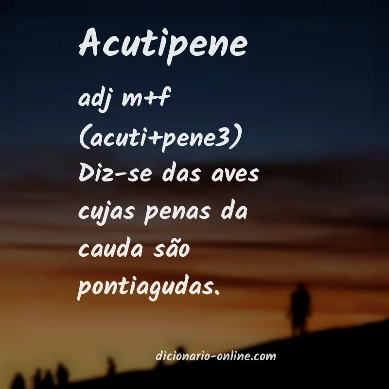 Significado de acutipene