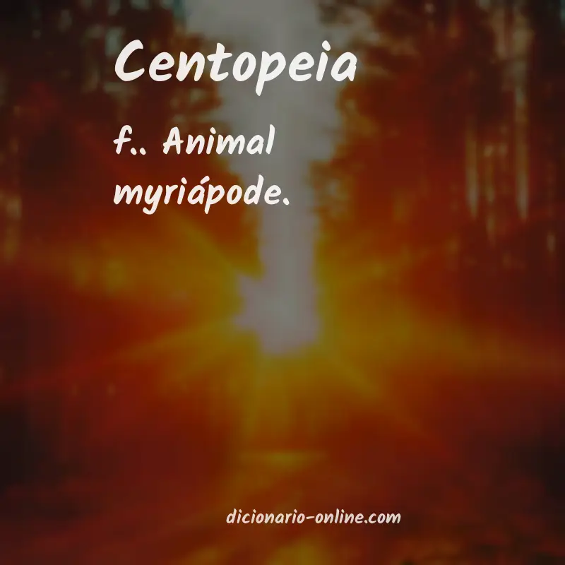Significado de centopeia