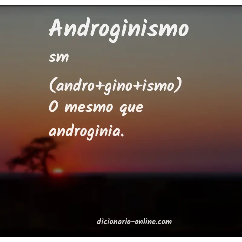 Significado de androginismo