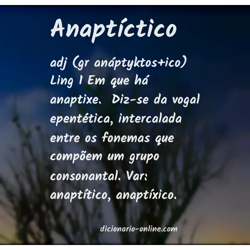 Significado de anaptíctico