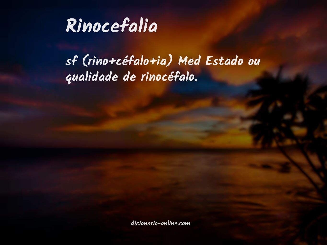 Significado de rinocefalia