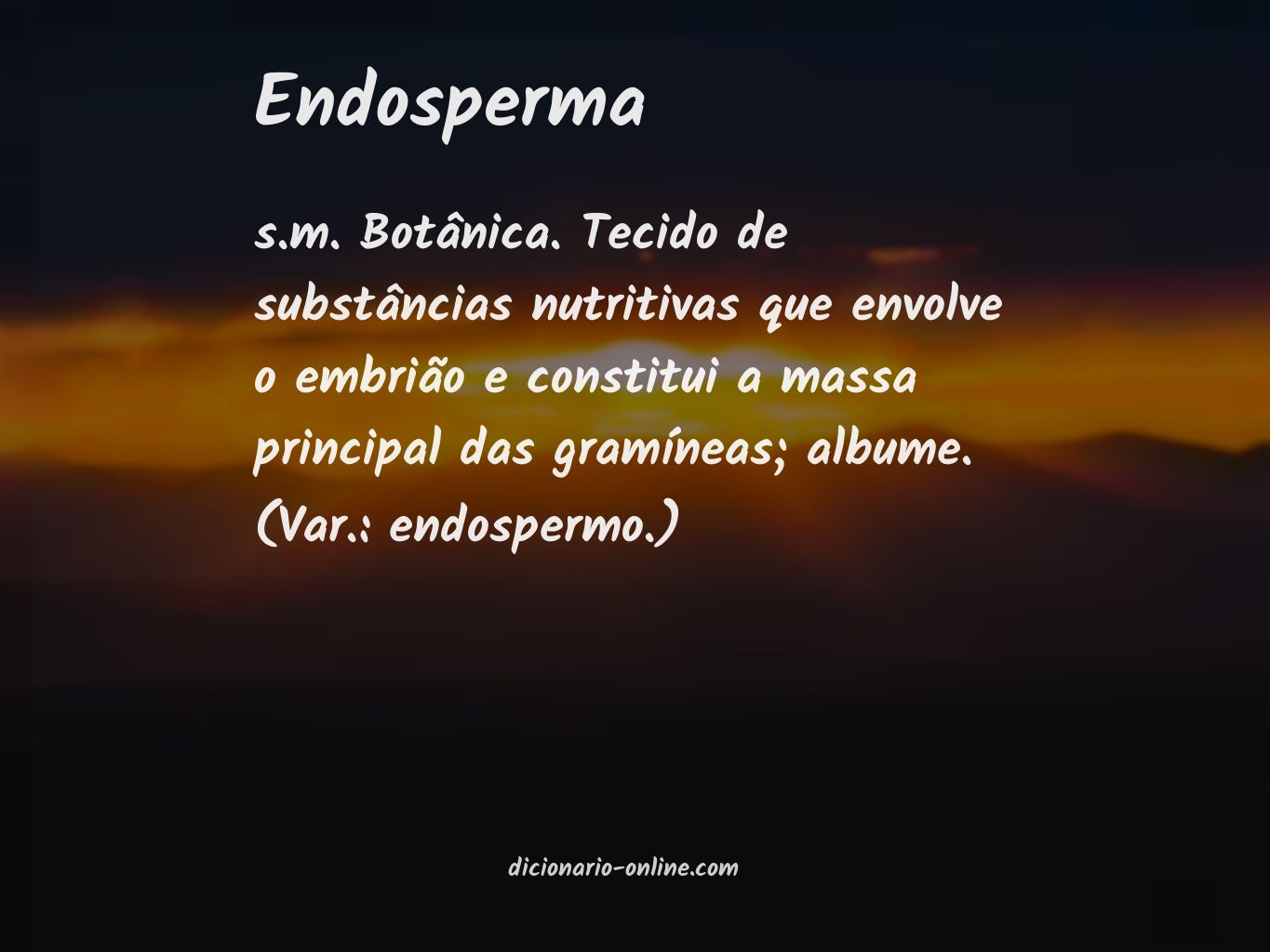 Significado de endosperma