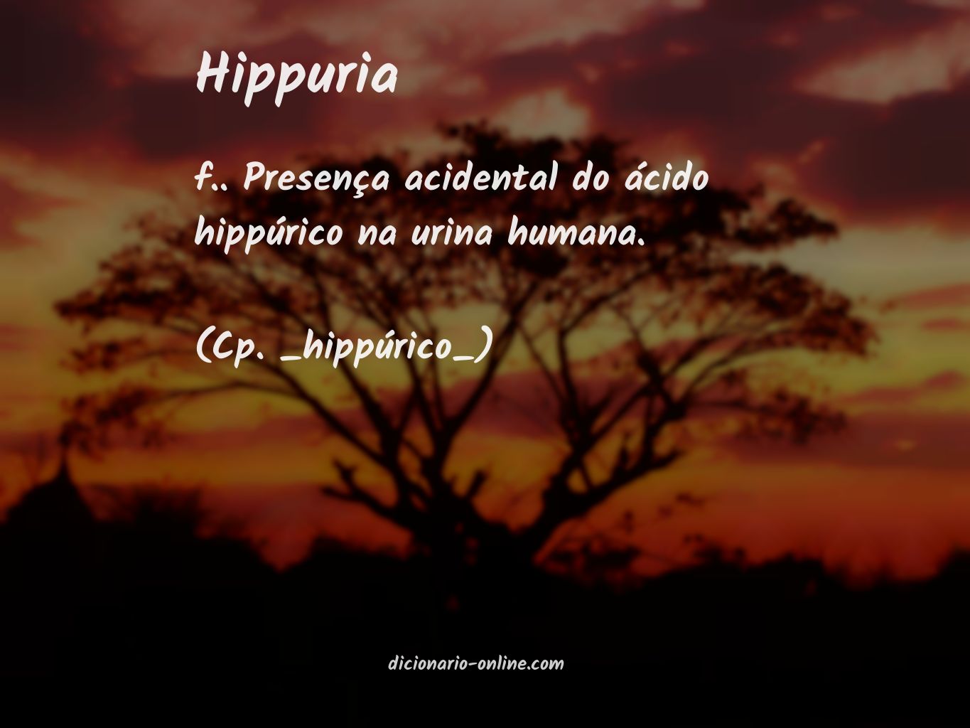 Significado de hippuria