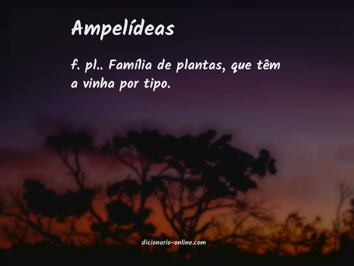 Significado de ampelídeas