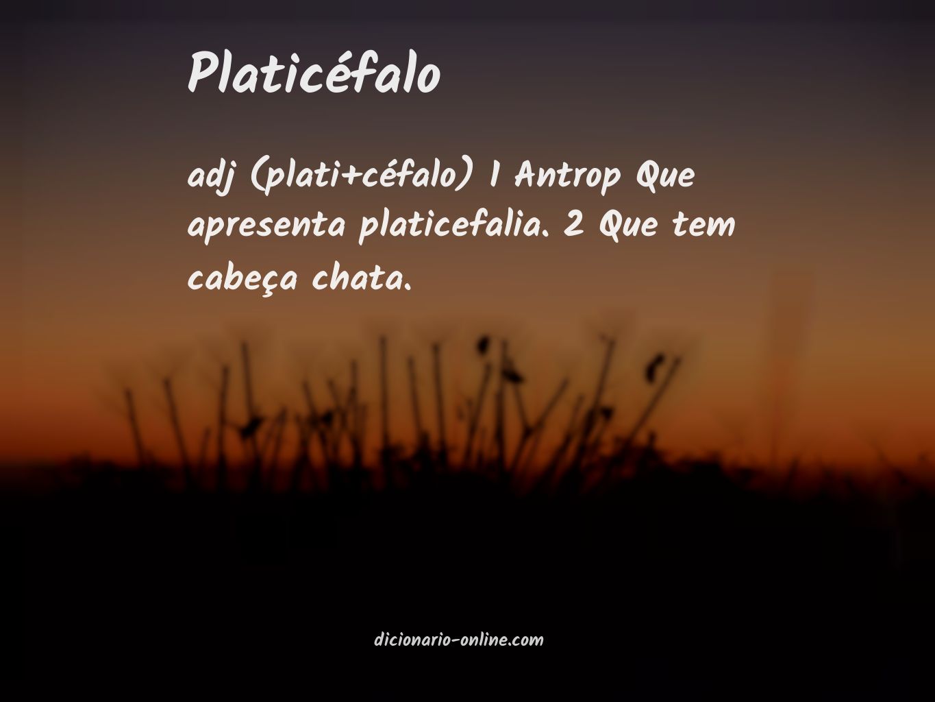 Significado de platicéfalo