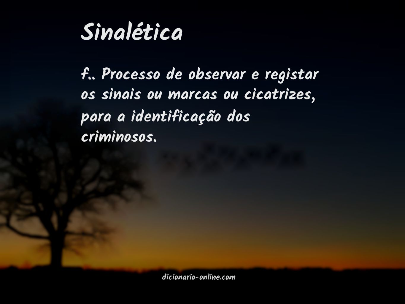 Significado de sinalética