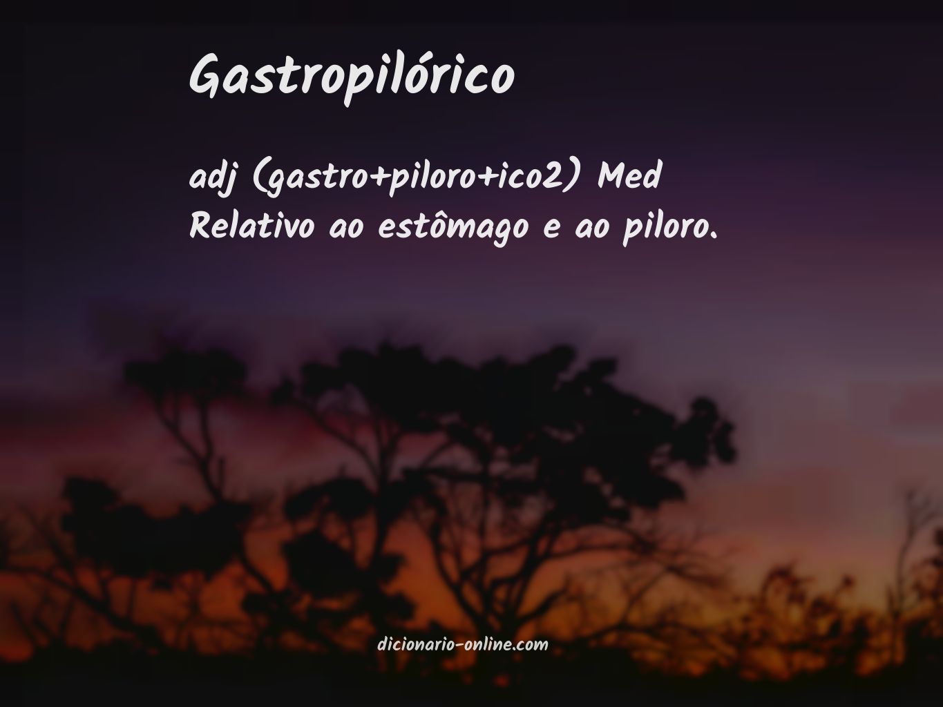 Significado de gastropilórico