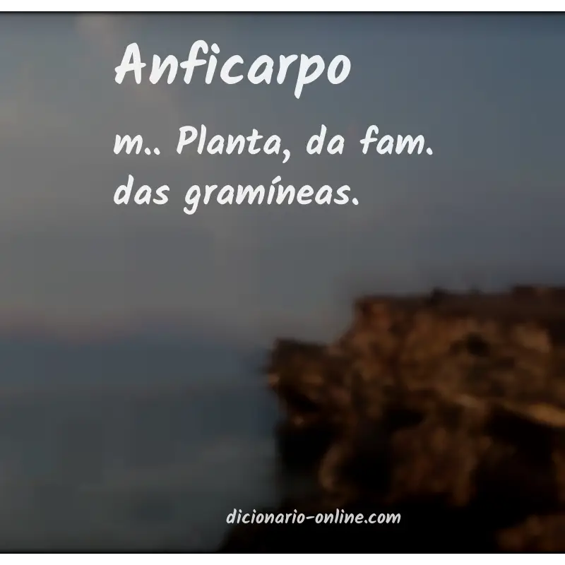 Significado de anficarpo