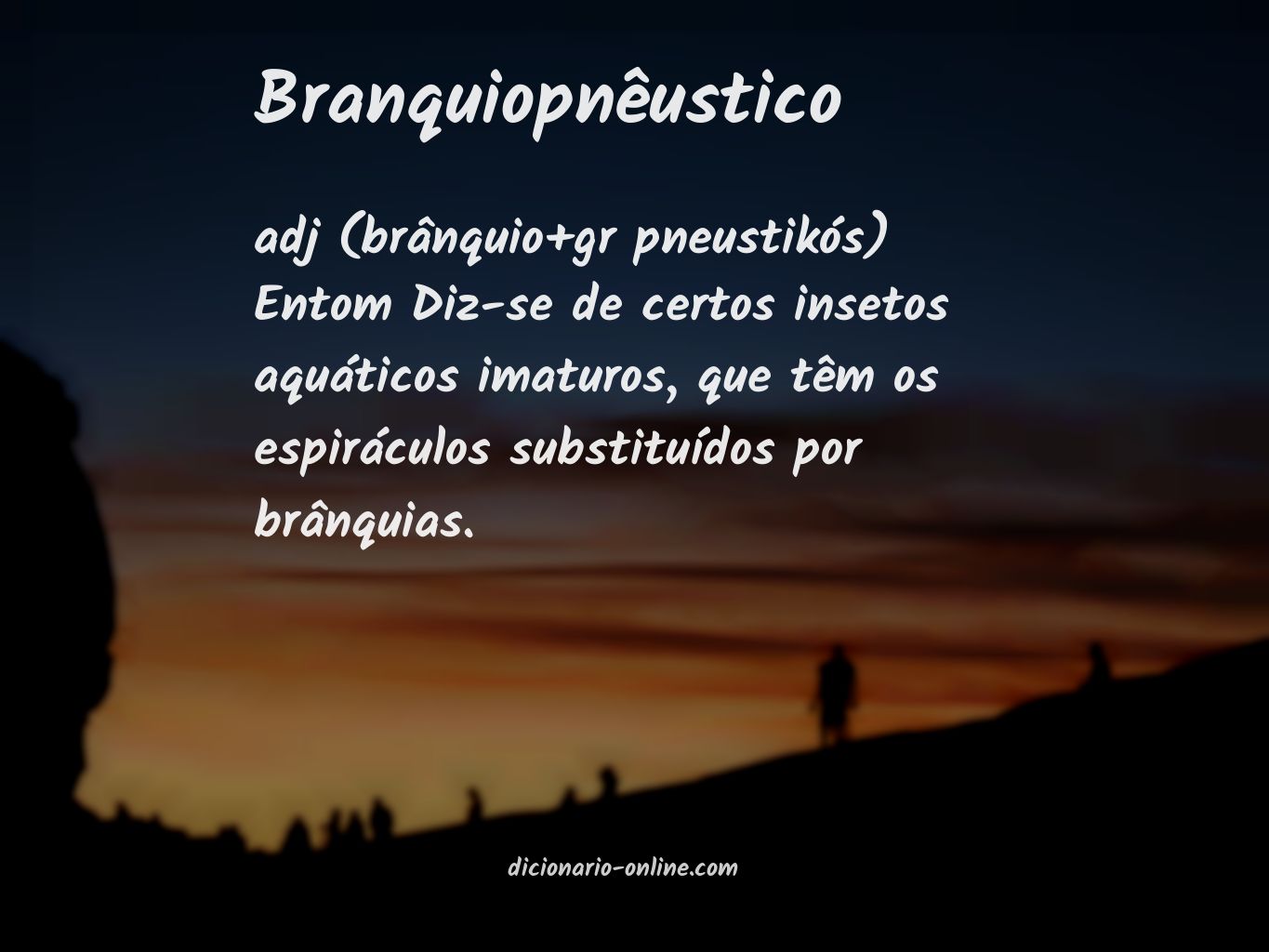 Significado de branquiopnêustico