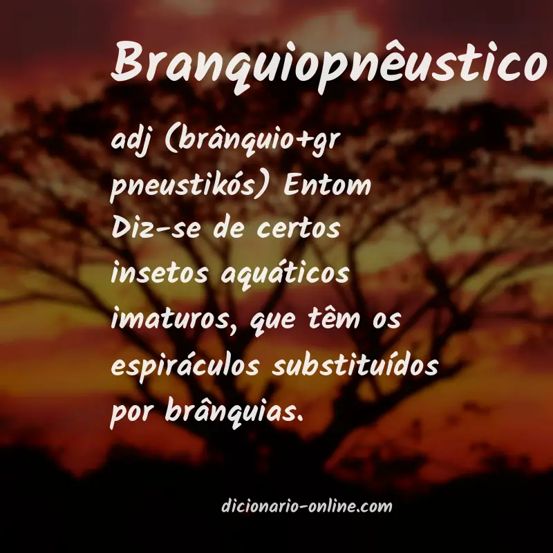 Significado de branquiopnêustico
