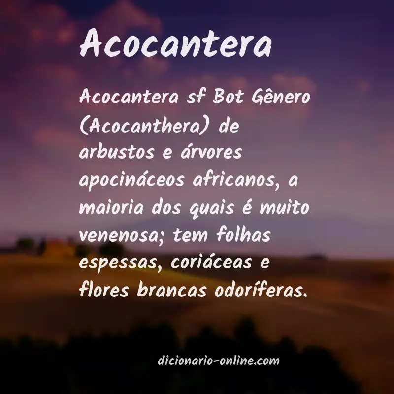 Significado de acocantera