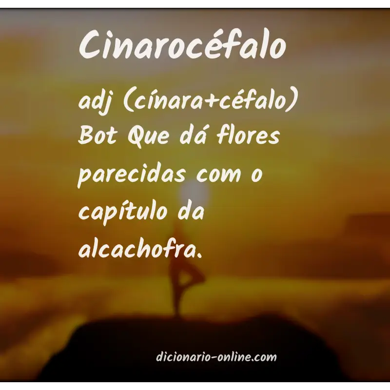 Significado de cinarocéfalo