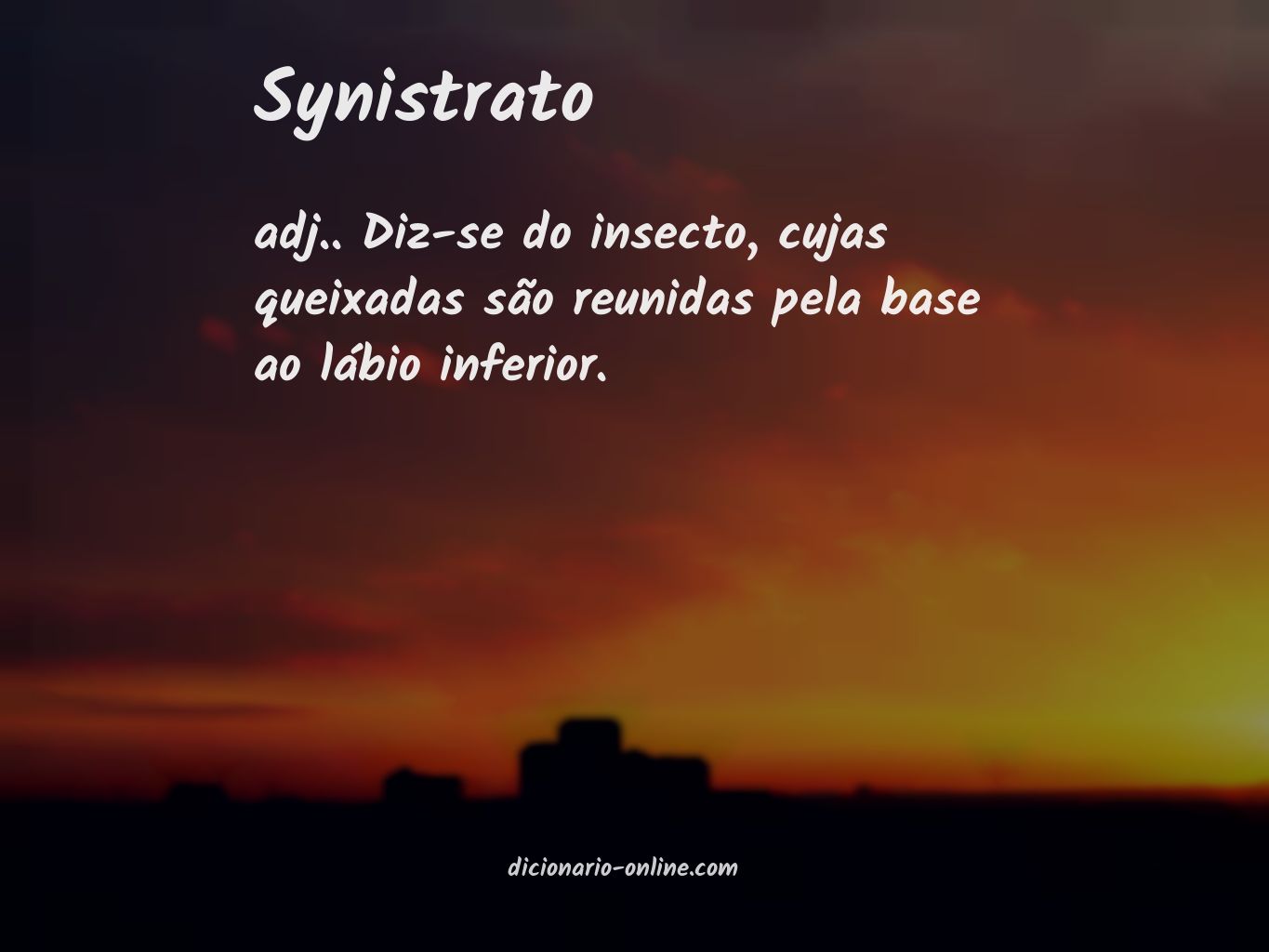 Significado de synistrato