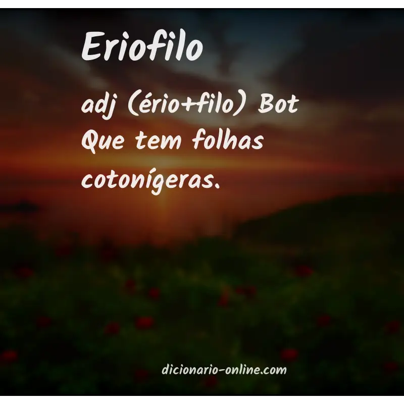 Significado de eriofilo