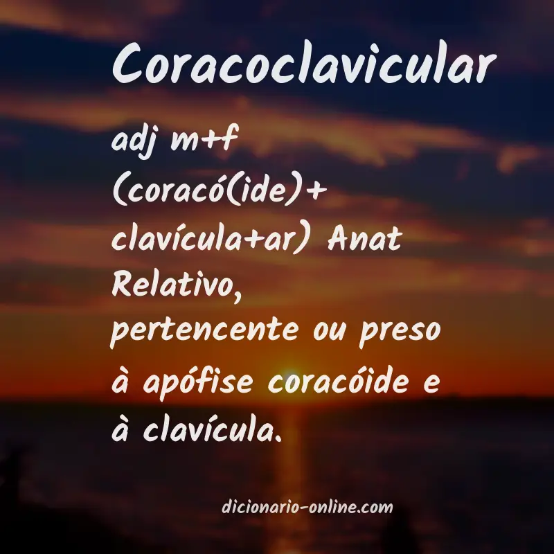 Significado de coracoclavicular