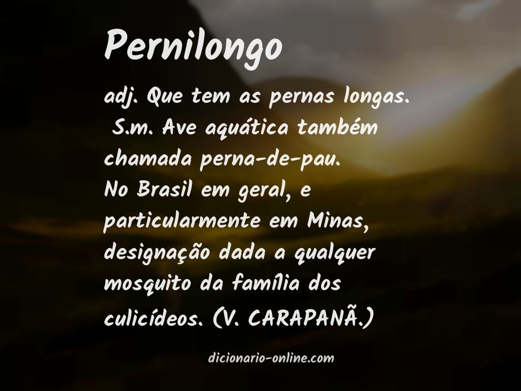 Significado de pernilongo