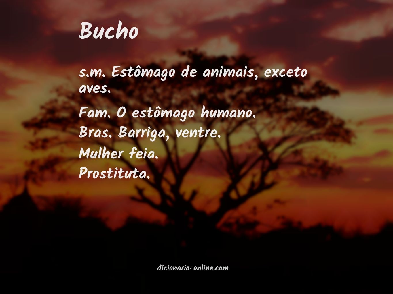 Significado de bucho