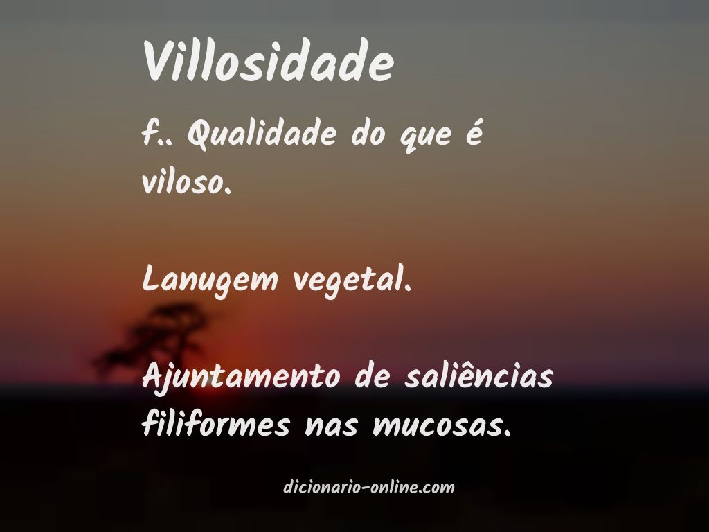 Significado de villosidade