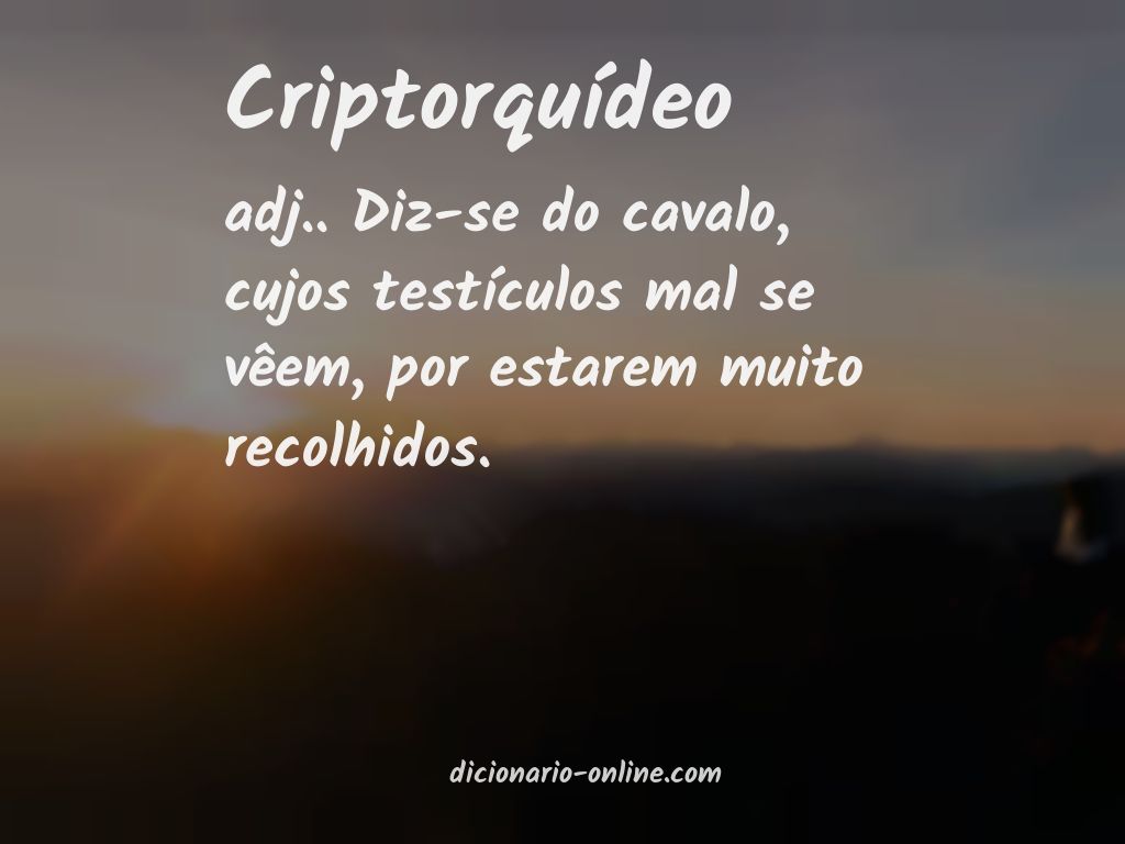 Significado de criptorquídeo