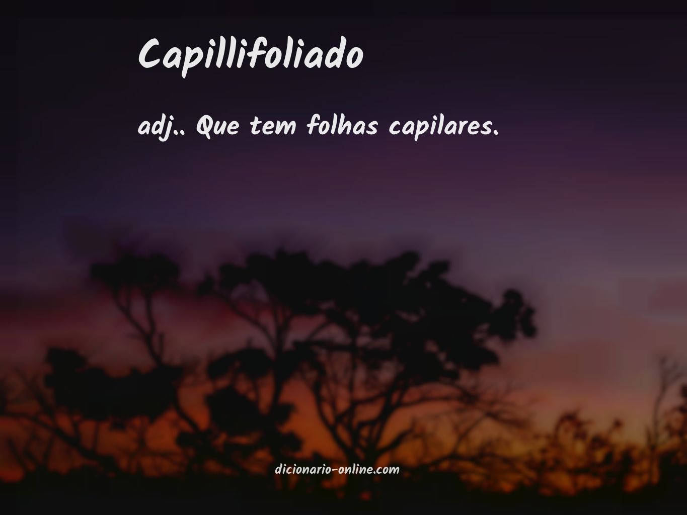 Significado de capillifoliado