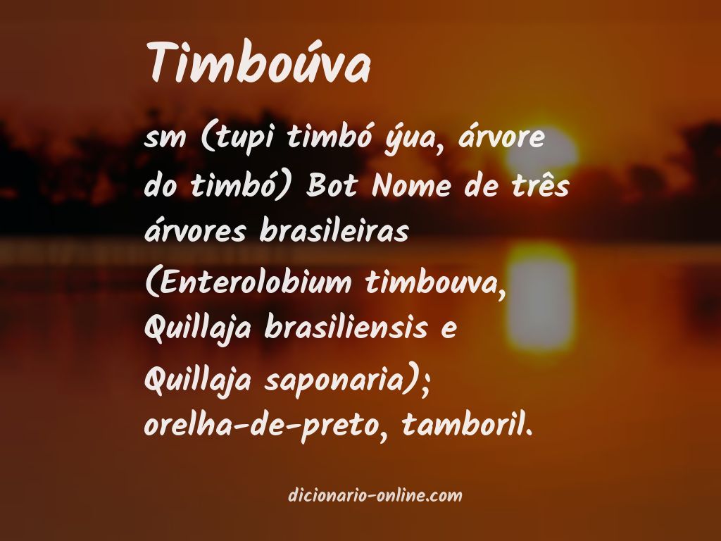 Significado de timboúva