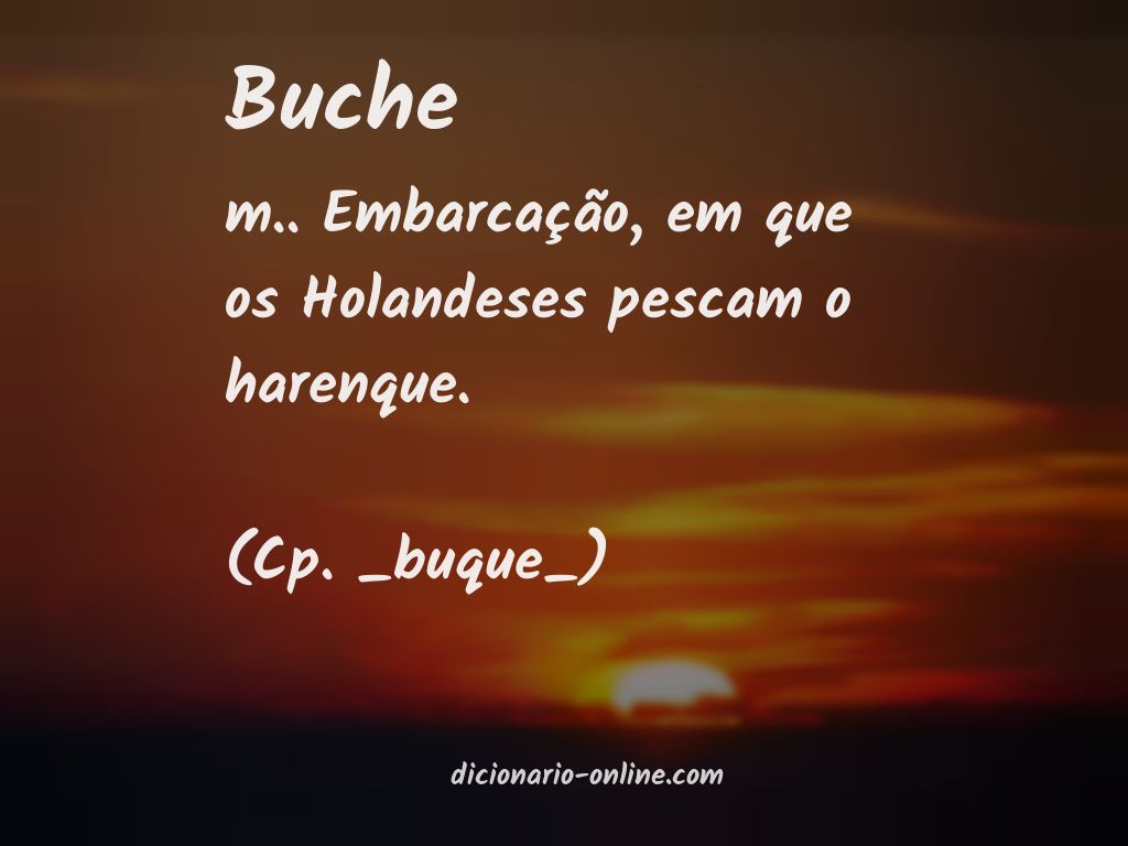 Significado de buche