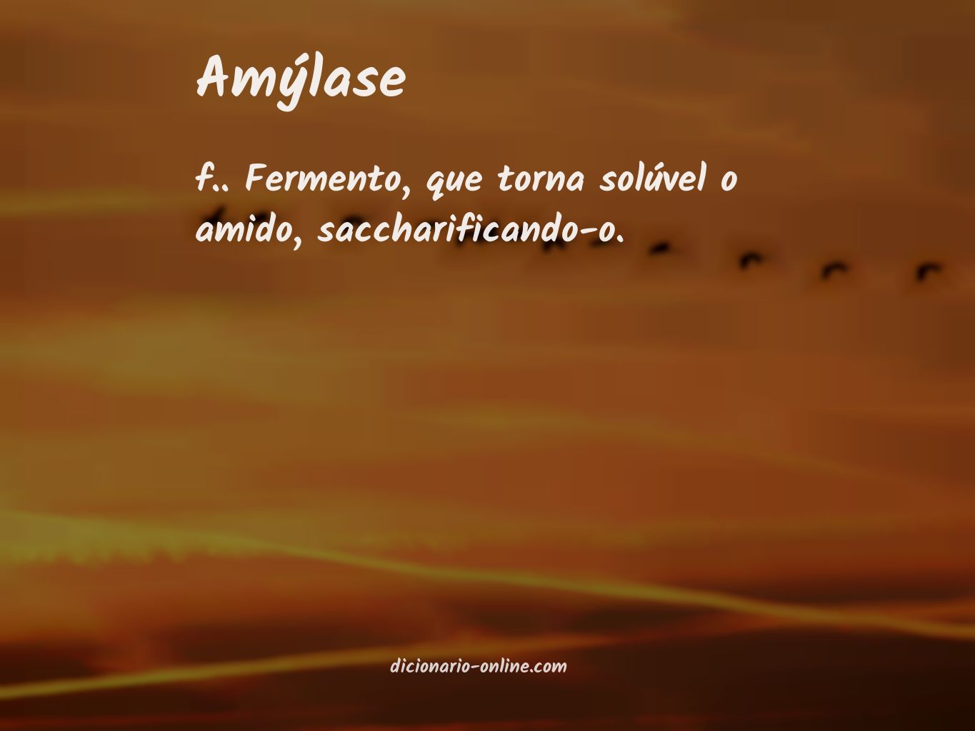 Significado de amýlase