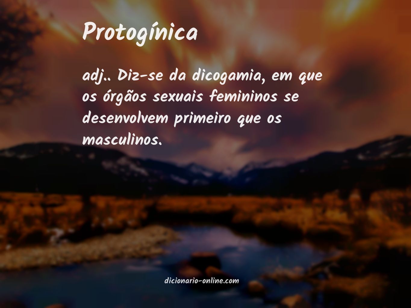 Significado de protogínica