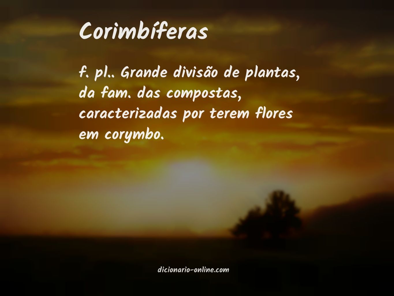 Significado de corimbíferas