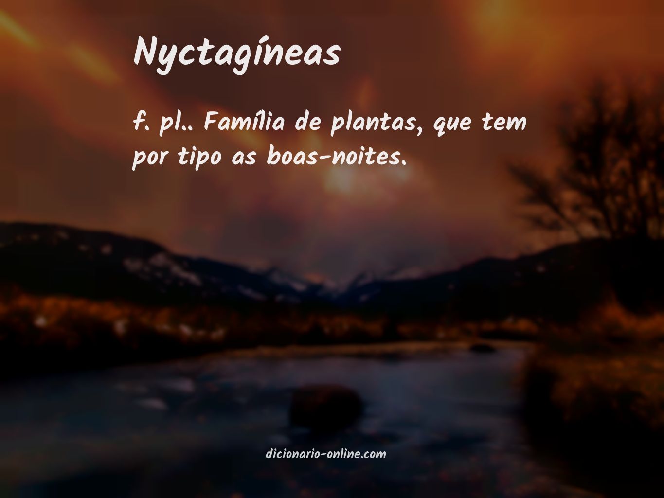 Significado de nyctagíneas