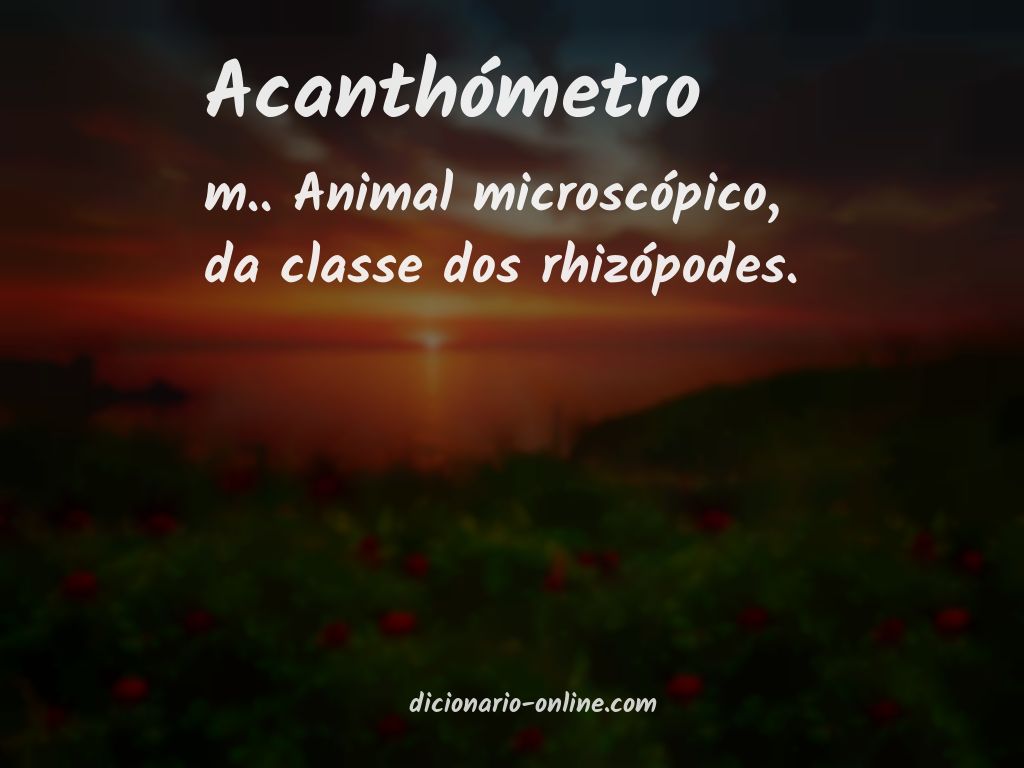 Significado de acanthómetro