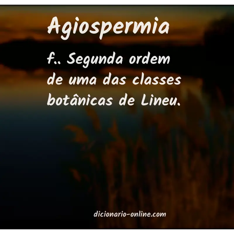 Significado de agiospermia