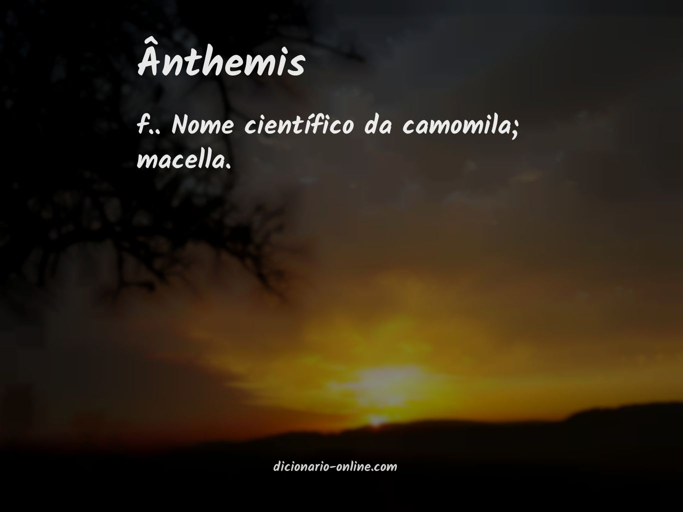 Significado de ânthemis