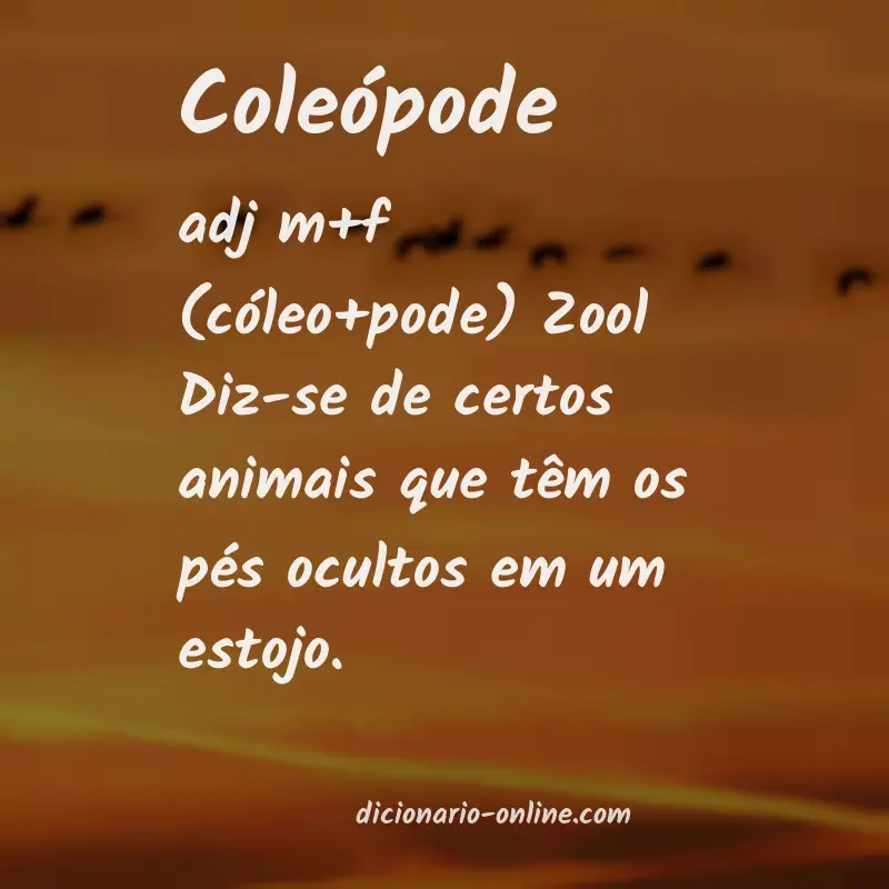 Significado de coleópode