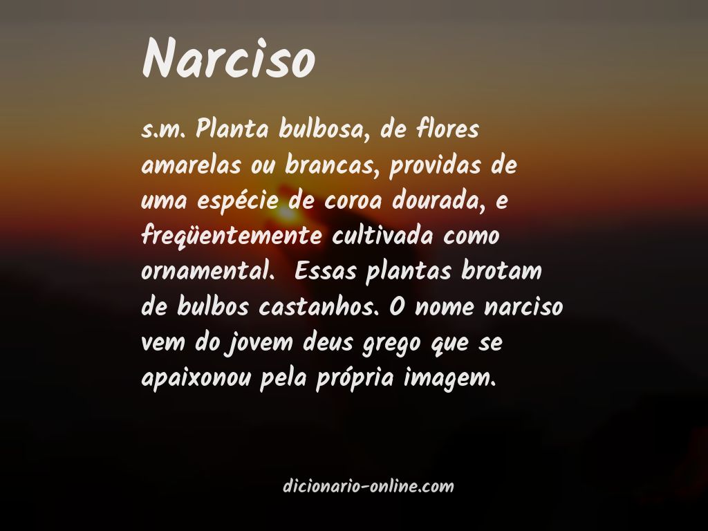 Significado de narciso