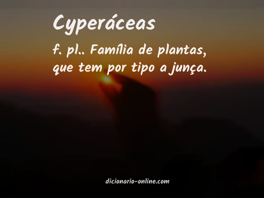 Significado de cyperáceas