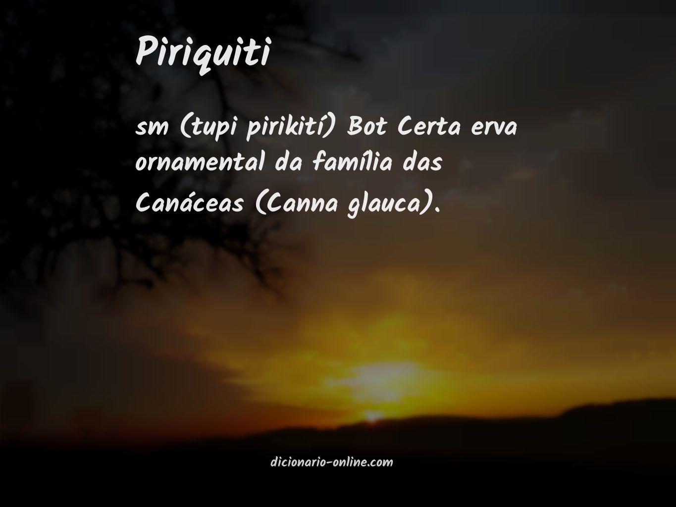 Significado de piriquiti