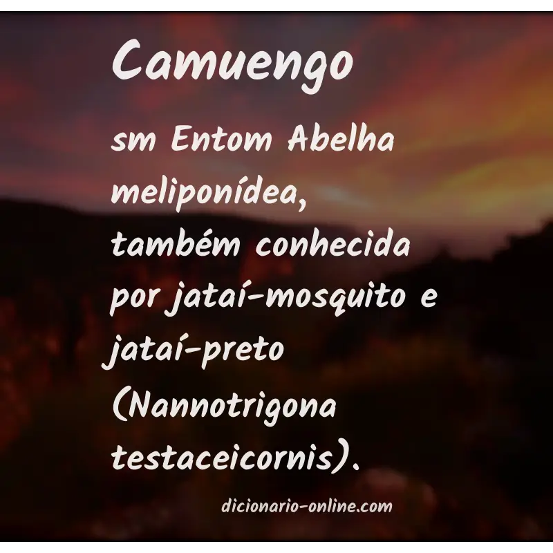 Significado de camuengo