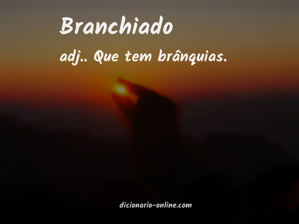 Significado de branchiado