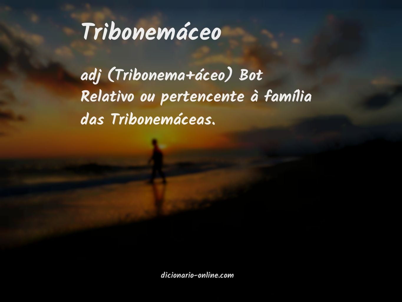 Significado de tribonemáceo