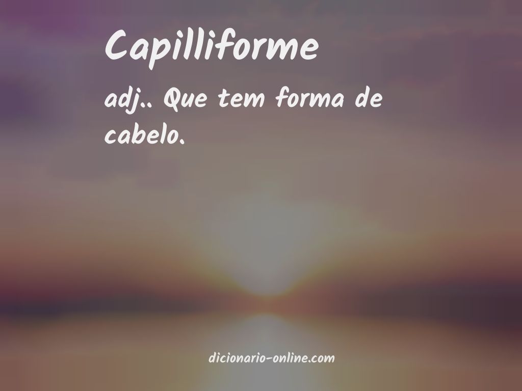 Significado de capilliforme