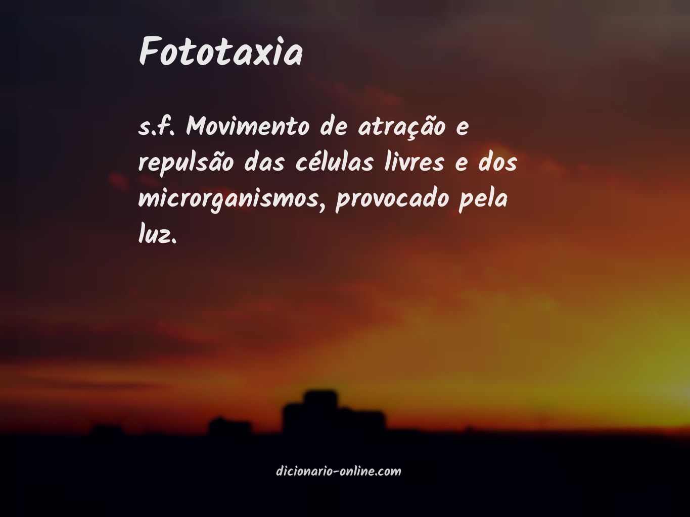 Significado de fototaxia