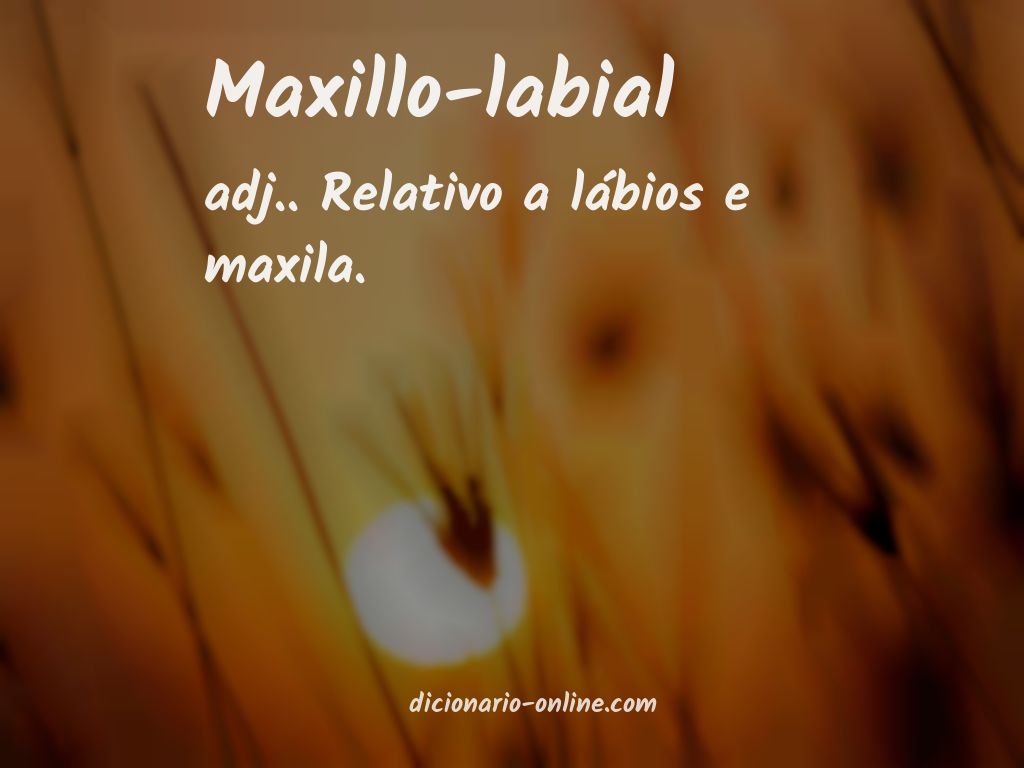 Significado de maxillo-labial