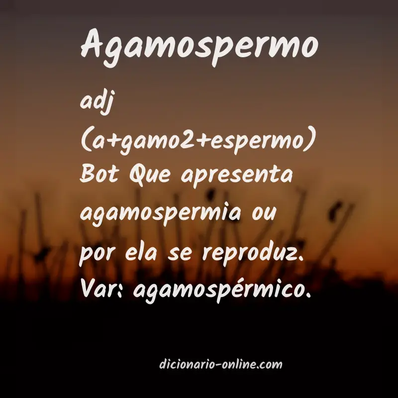 Significado de agamospermo