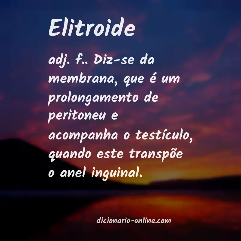 Significado de elitroide