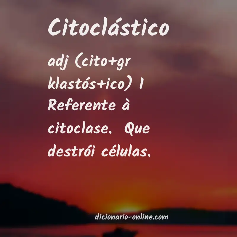Significado de citoclástico